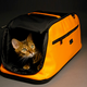 Illustration for article titled Gifts For Pets Owned By Geeks Who Treat Them Like Spoiled Children